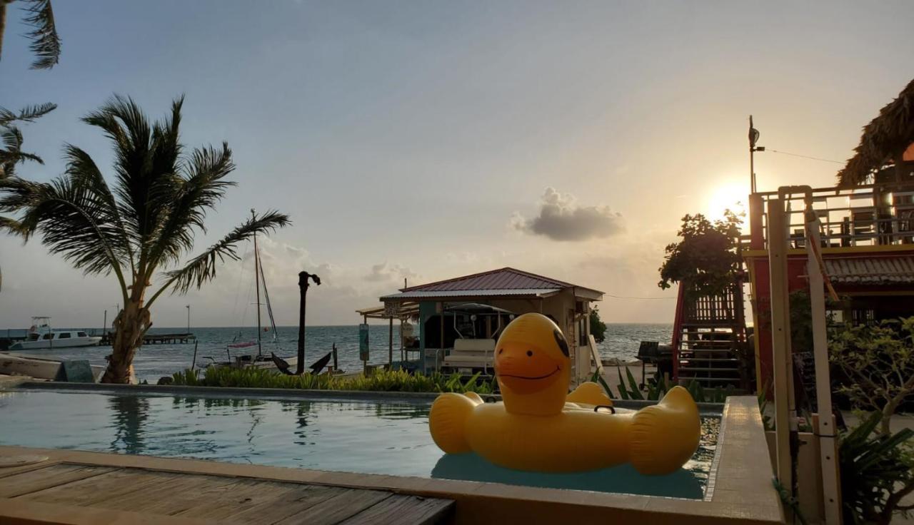 Beach Club Condos At Popeyes Caye Caulker Kültér fotó